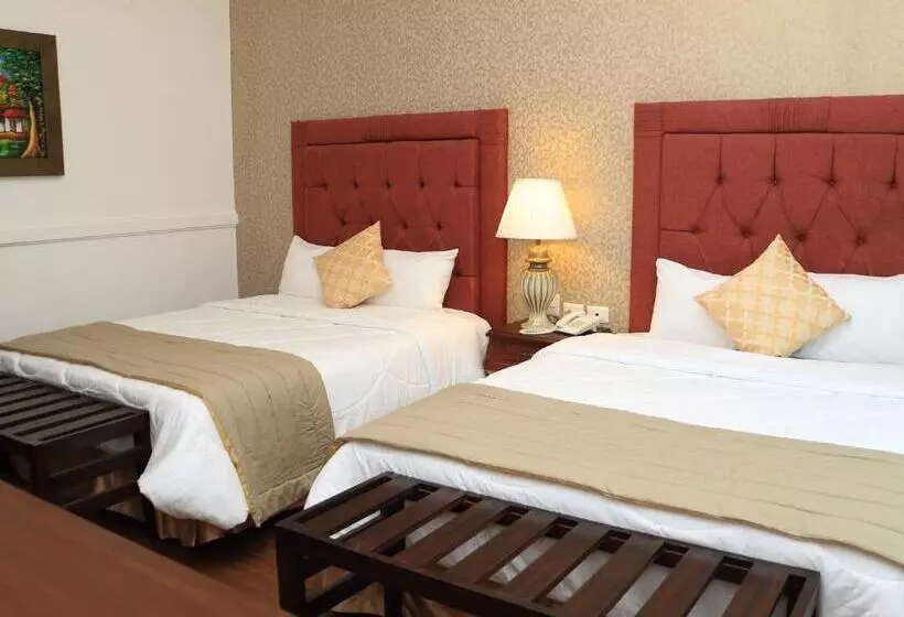 Fotos del hotel Presidente Boutique:  12
