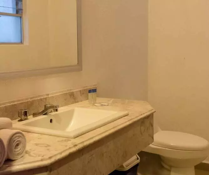 Fotos del hotel Santa Helena Plaza:  7