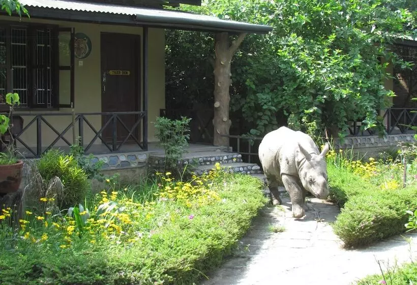 Fotos del hotel Chitwan Gaida Lodge:  7
