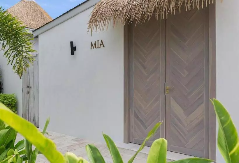 Fotos del hotel Eden Beach Bungalows:  14