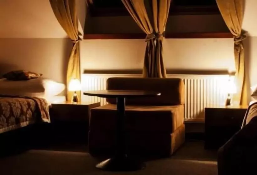Fotos del hotel Pod Hradom:  18