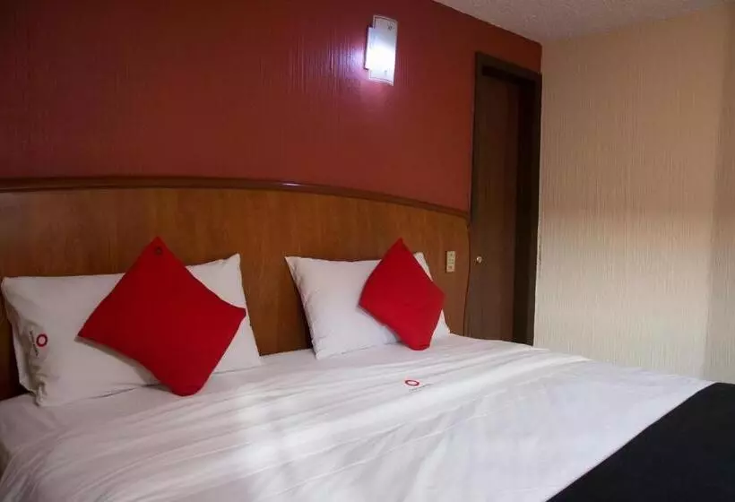 Fotos del hotel Santa Maria:  22