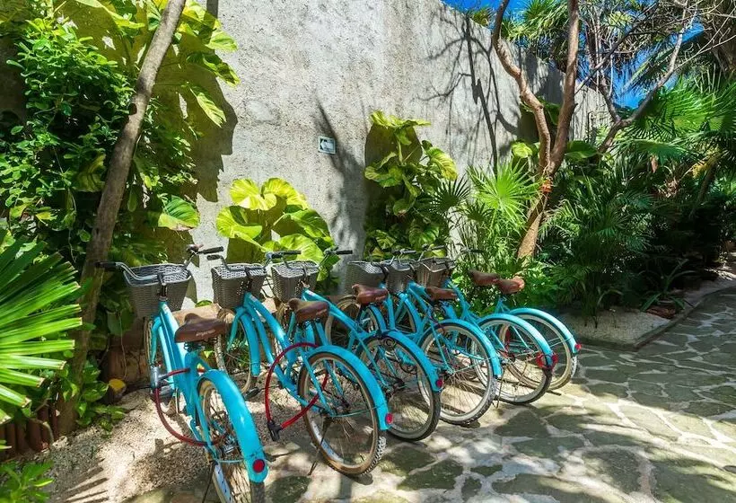 Fotos del hotel Villa Pescadores Tulum:  7