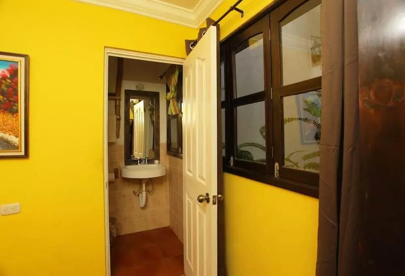 Fotos del hotel Casa Colonial:  4