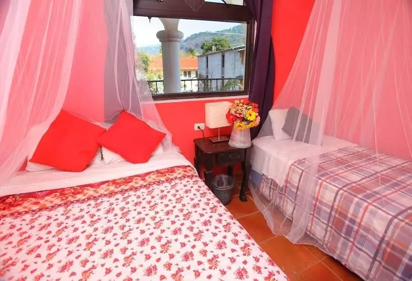 Fotos del hotel Casa Colonial:  22