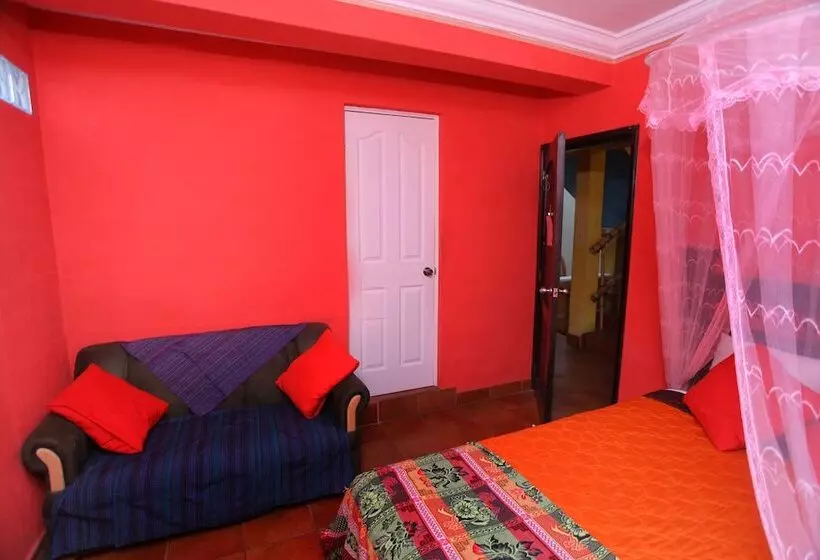 Fotos del hotel Casa Colonial:  6