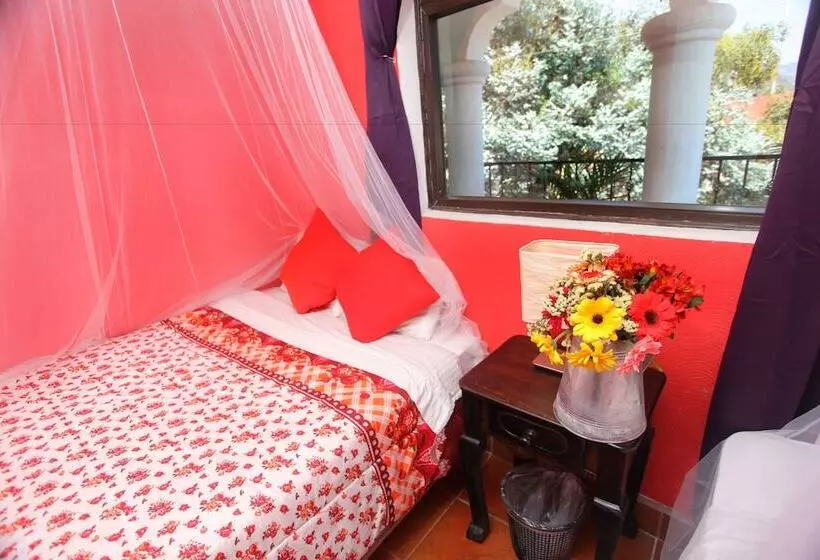 Fotos del hotel Casa Colonial:  10