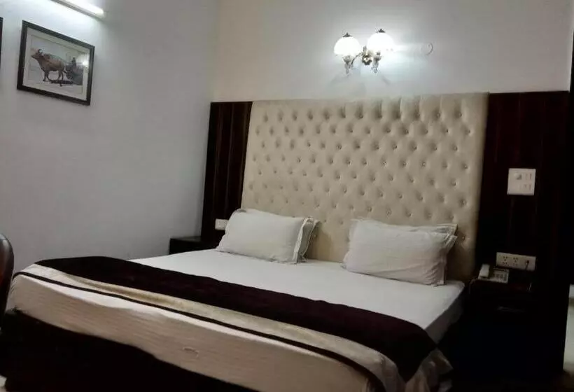 Fotos del hotel Solo Victoria:  23