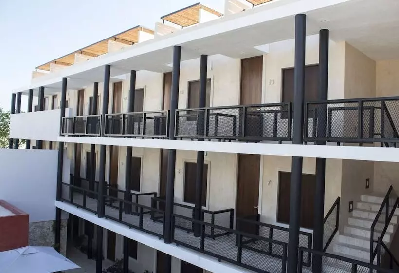 Casona 61 By Guru