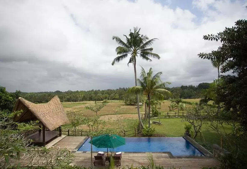 Fotos del hotel Omah Apik:  13