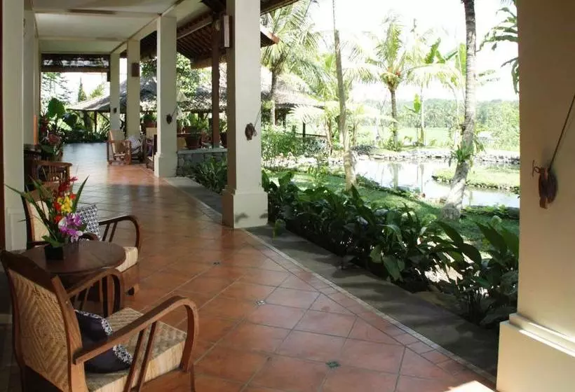 Fotos del hotel Omah Apik:  6