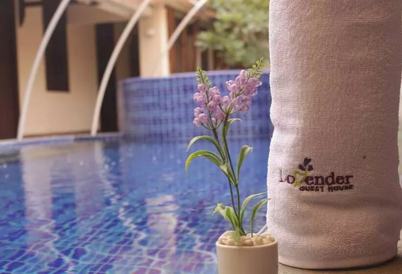Fotos del hotel Lovender Guesthouse:  19