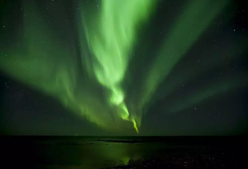 Fotos del hotel Tower Suites Reykjavík:  10