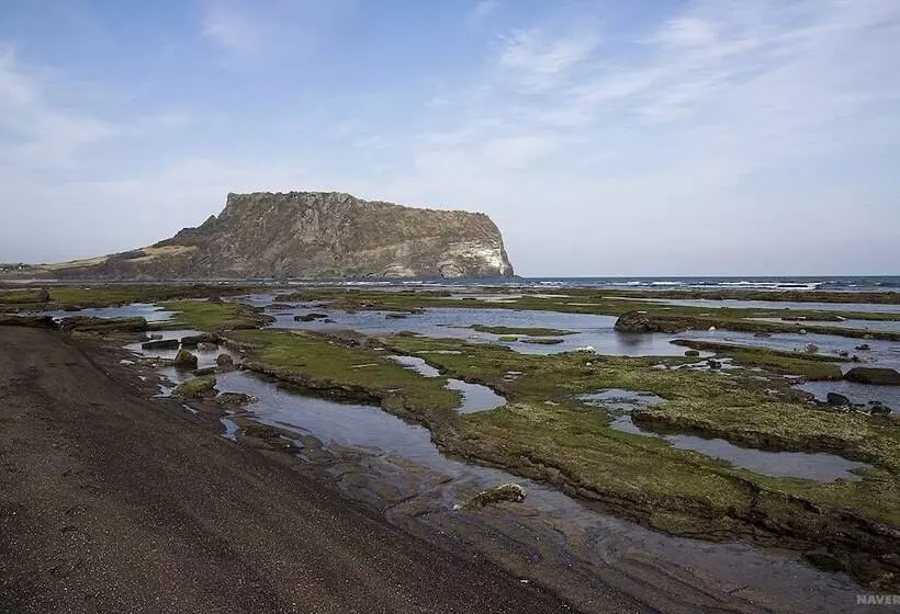 Fotos del hotel Tulip Jeju Seongsan , Formerly  Golden Tulip Jeju Seongsan:  5