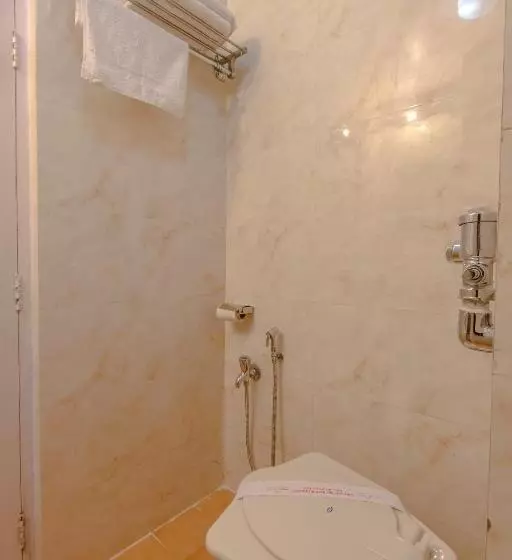 Fotos del hotel Mogul Palace:  16