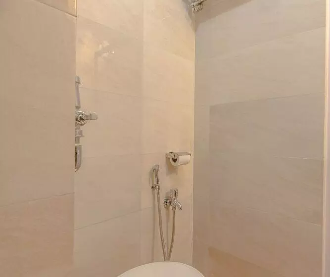Fotos del hotel Mogul Palace:  6