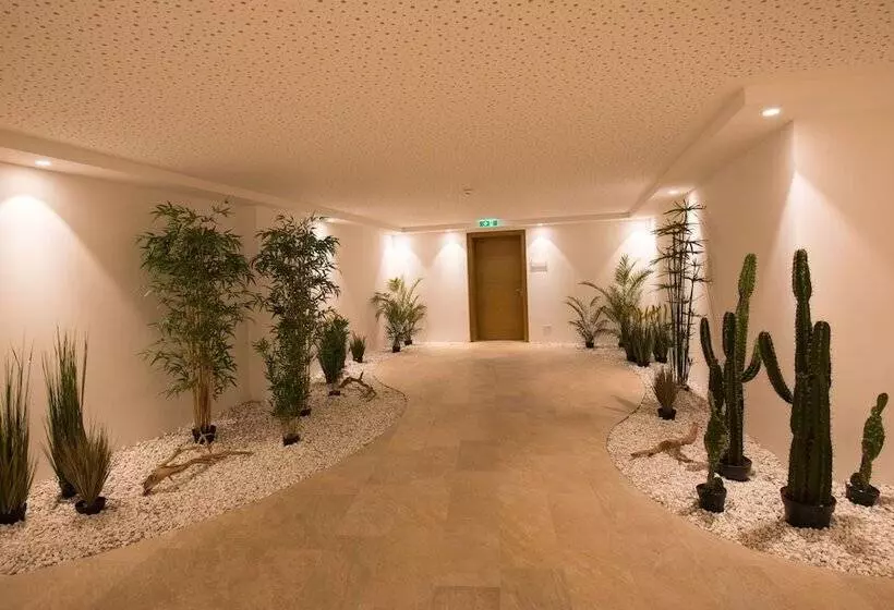 Fotos del hotel Dasmei:  2