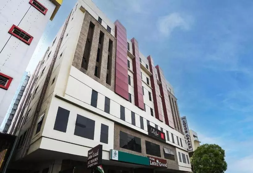 Fotos del hotel Lotus Grand:  7