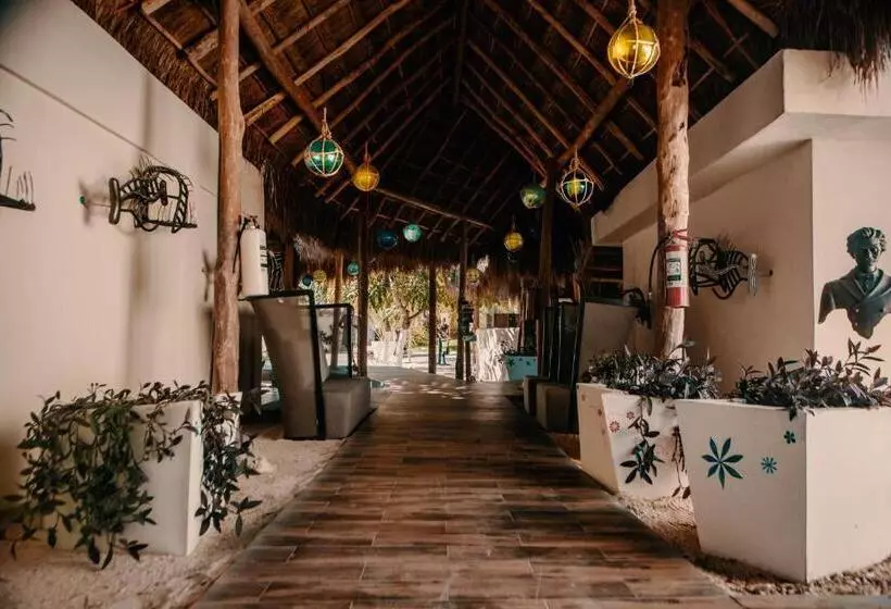 Fotos del hotel Paradise Suites:  13