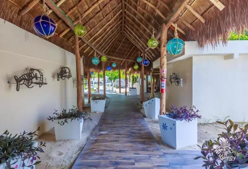 Fotos del hotel Paradise Suites:  4