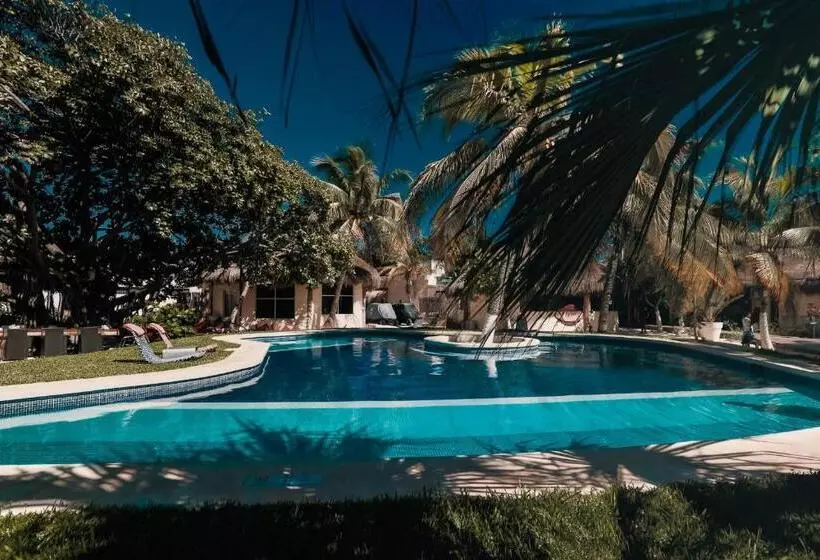 Fotos del hotel Paradise Suites:  3