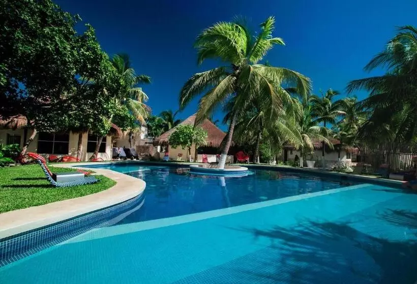 Paradise Suites