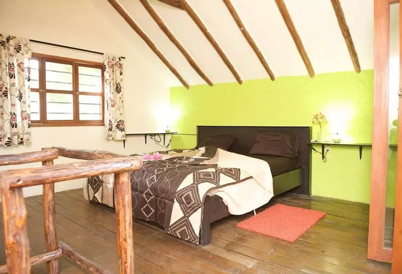 Fotos del hotel Casa Kiwi:  9