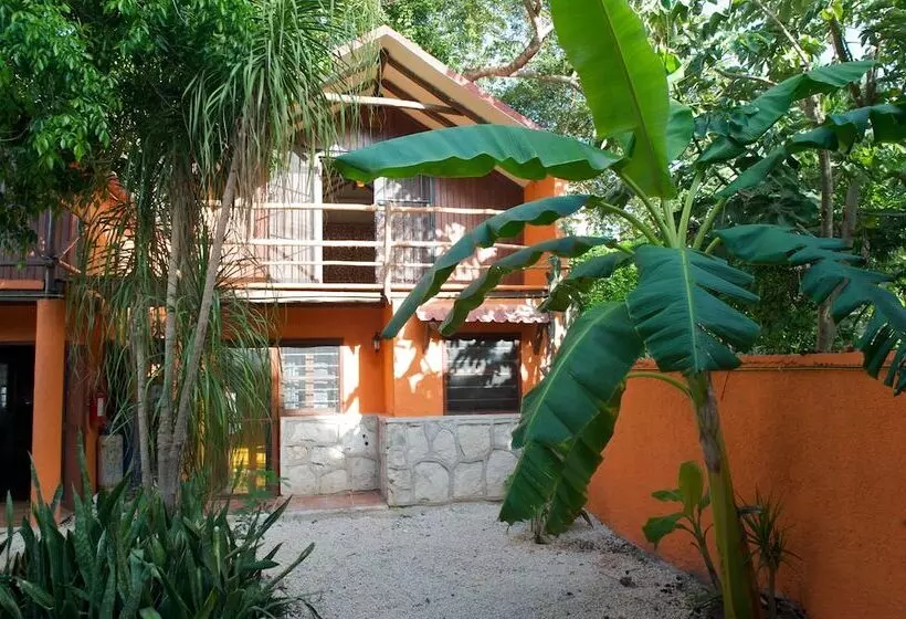 Fotos del hotel Casa Kiwi:  15