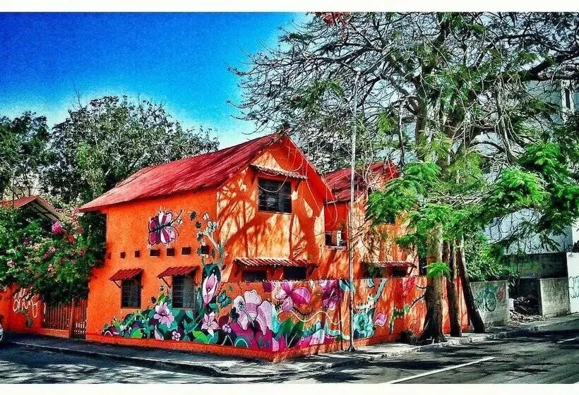 Fotos del hotel Casa Kiwi:  1