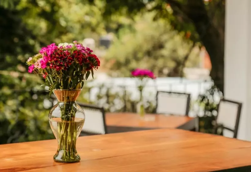 Fotos del hotel Agrado Guest House:  5