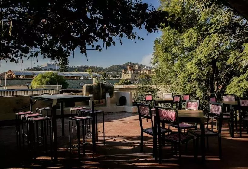 Fotos del hotel Agrado Guest House:  10