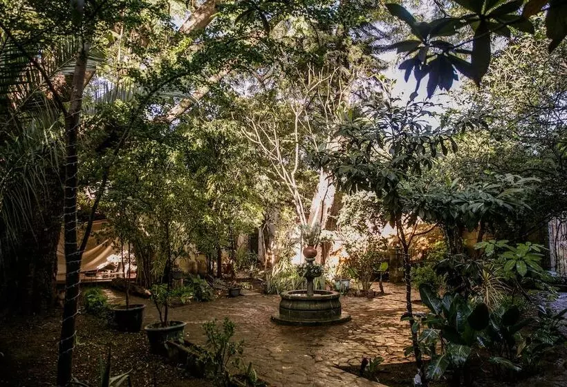 Fotos del hotel Agrado Guest House:  25