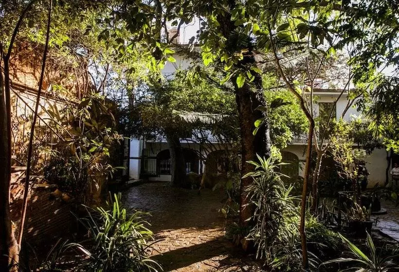 Fotos del hotel Agrado Guest House:  20
