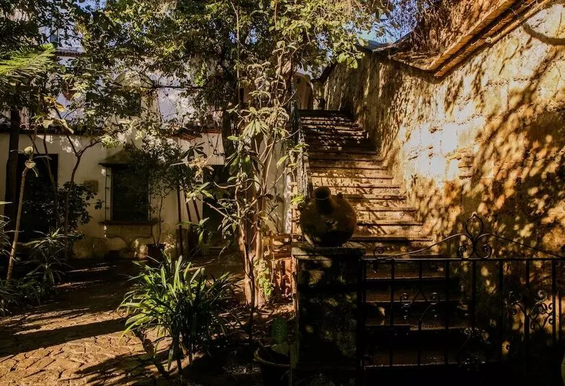 Fotos del hotel Agrado Guest House:  24