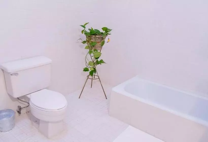 Fotos del hotel Agrado Guest House:  6