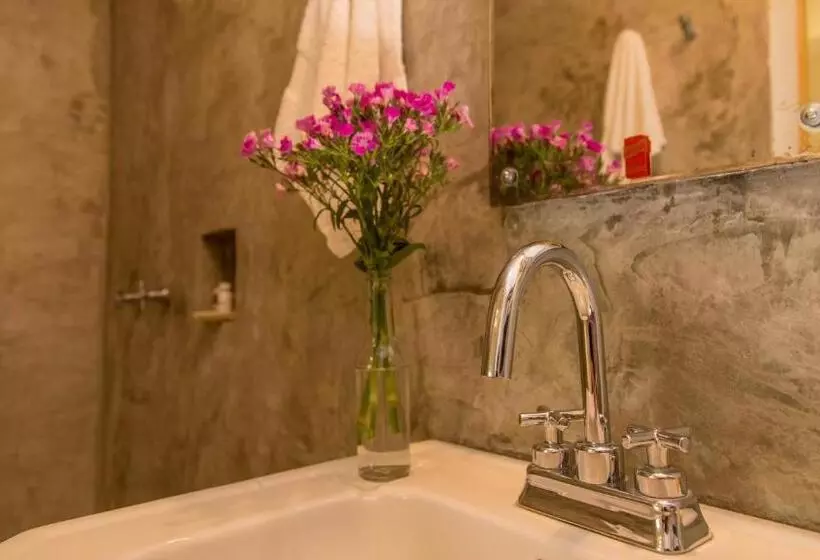 Fotos del hotel Agrado Guest House:  11