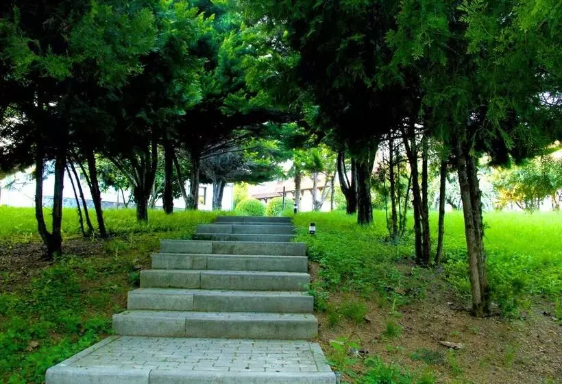 Fotos del hotel Sheki Olimpiya Hotel & Resort:  21