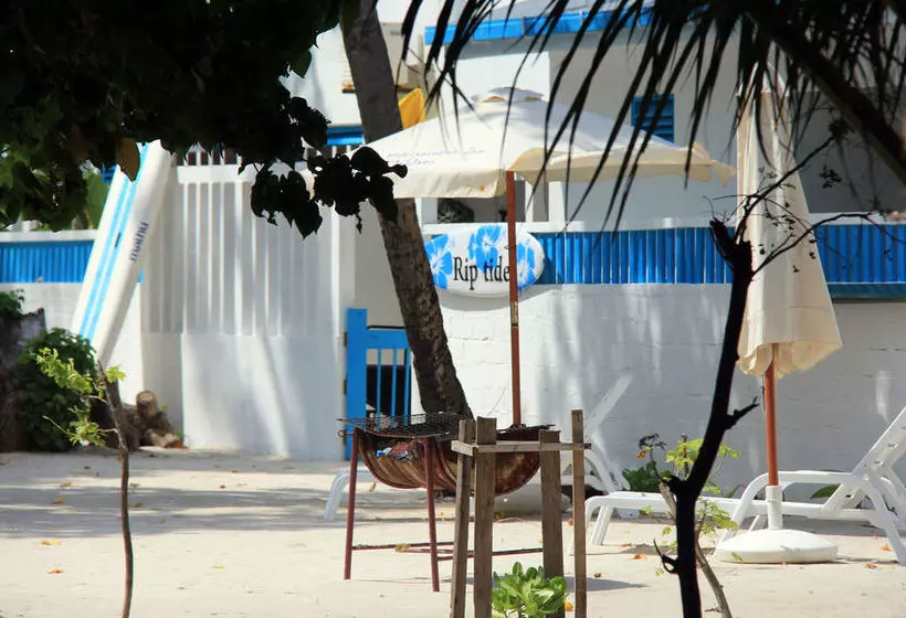 Fotos del hotel Rip Tide Beach:  12