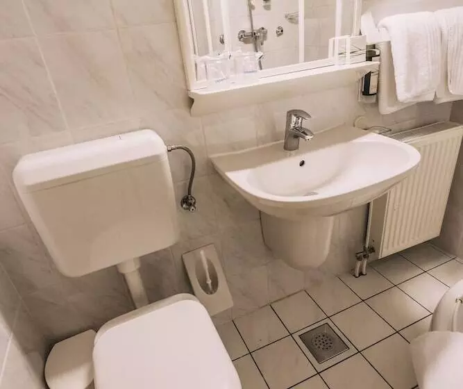 Fotos del hotel Garni  Vila Triglav:  6