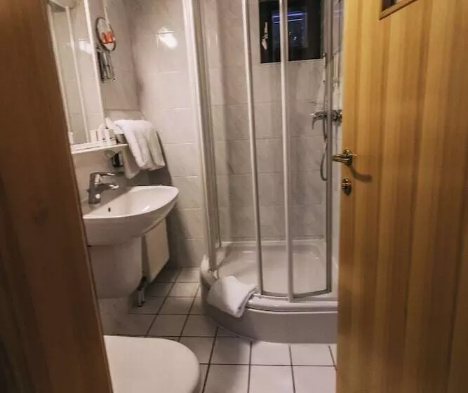 Fotos del hotel Garni  Vila Triglav:  10