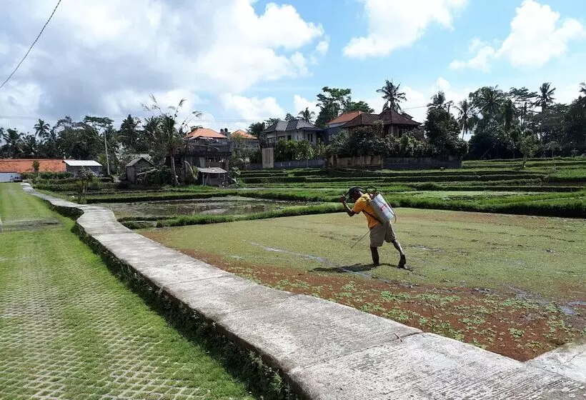 Fotos del hotel Villa Kirani Ubud:  21