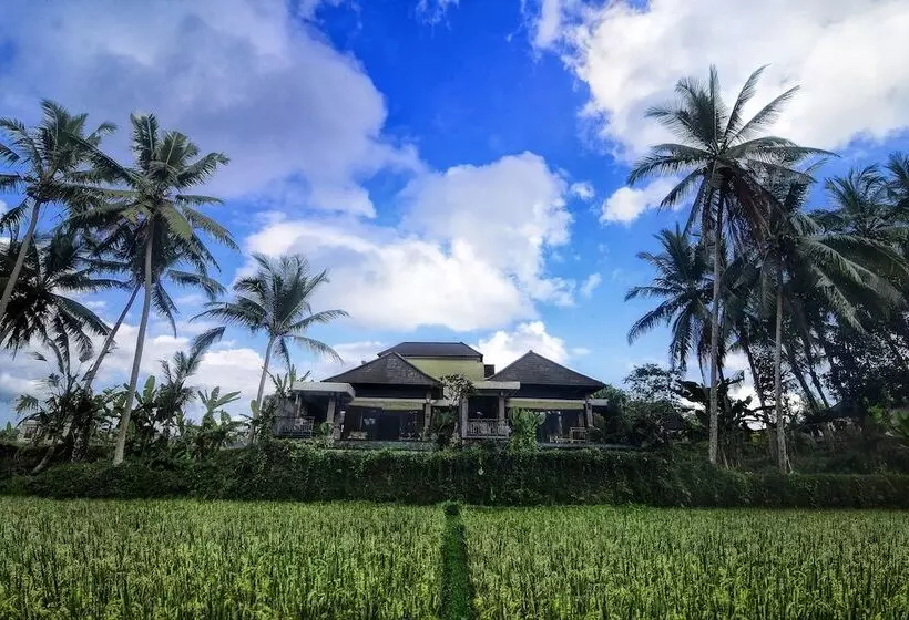 Fotos del hotel Villa Kirani Ubud:  23