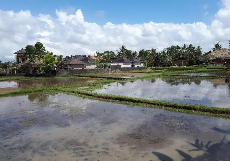 Fotos del hotel Villa Kirani Ubud:  14