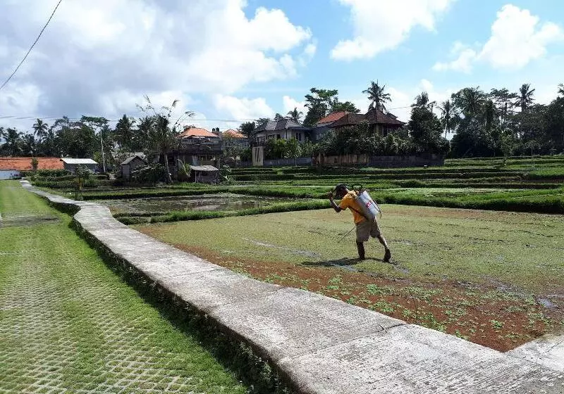 Fotos del hotel Villa Kirani Ubud:  18