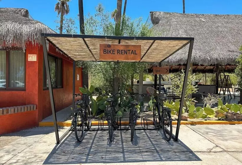Fotos del hotel Marea La Paz:  10