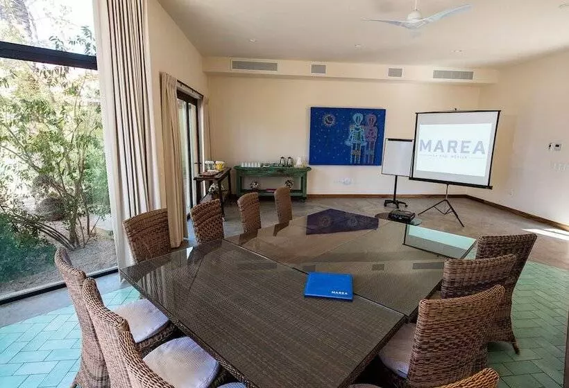 Fotos del hotel Marea La Paz:  12