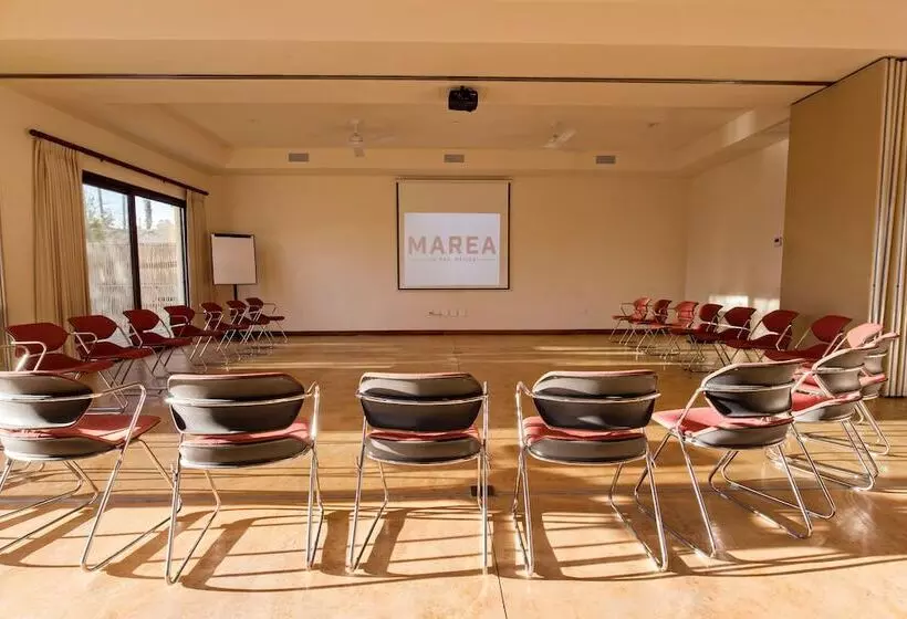 Fotos del hotel Marea La Paz:  4
