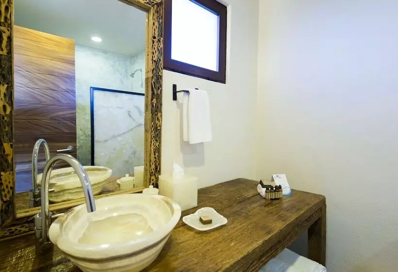Fotos del hotel Marea La Paz:  14