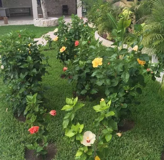 Fotos del hotel Jabin Tulum:  17