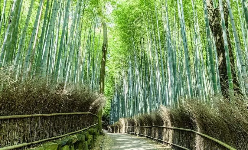 Fotos del hotel Mimaru Kyoto Horikawarokkaku:  19